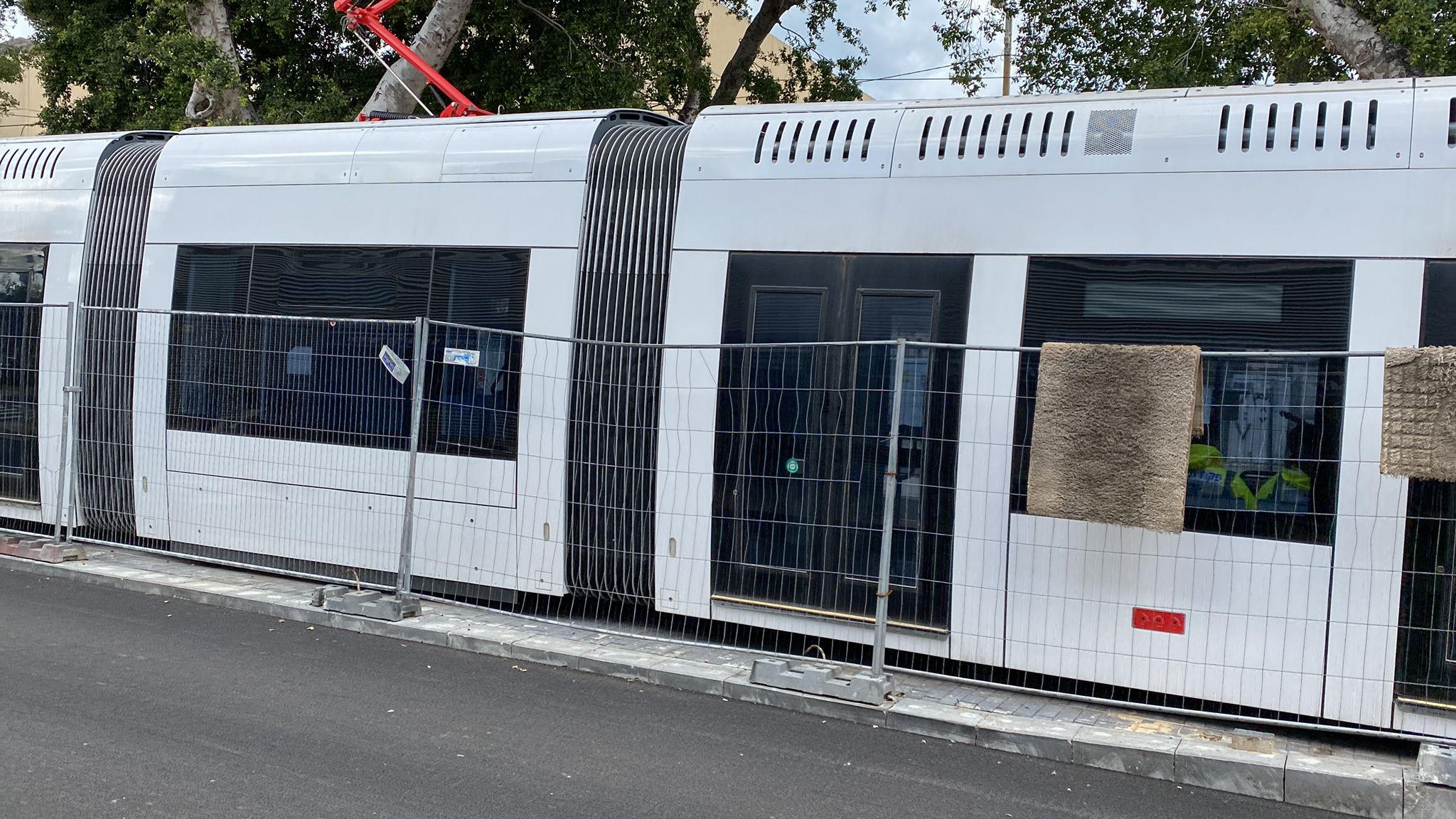 WhatsApp Image 2022-01-26 at 11.46.45 AM (2).jpeg